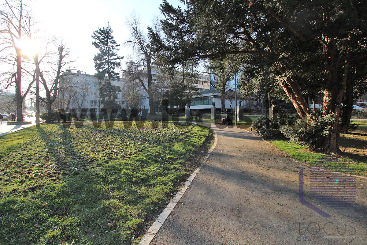11.Park.jpg