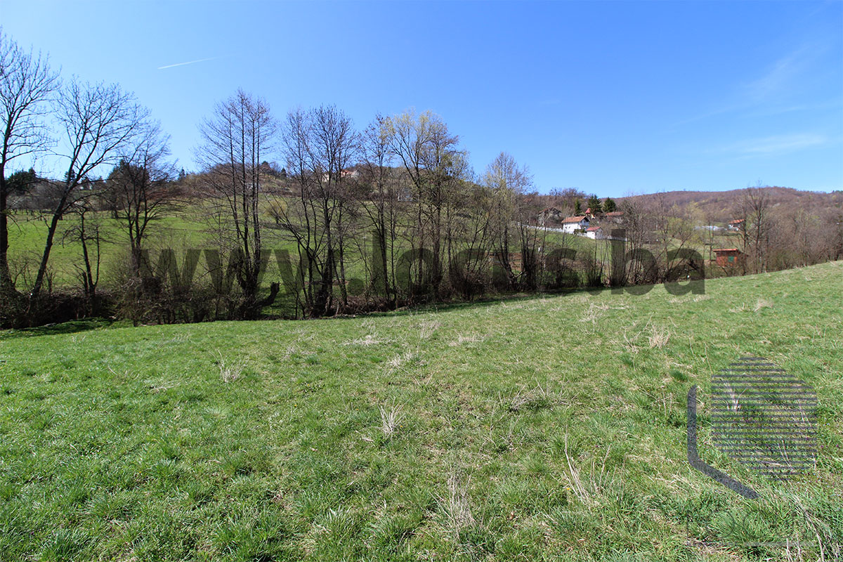 1-Slika-1.jpg