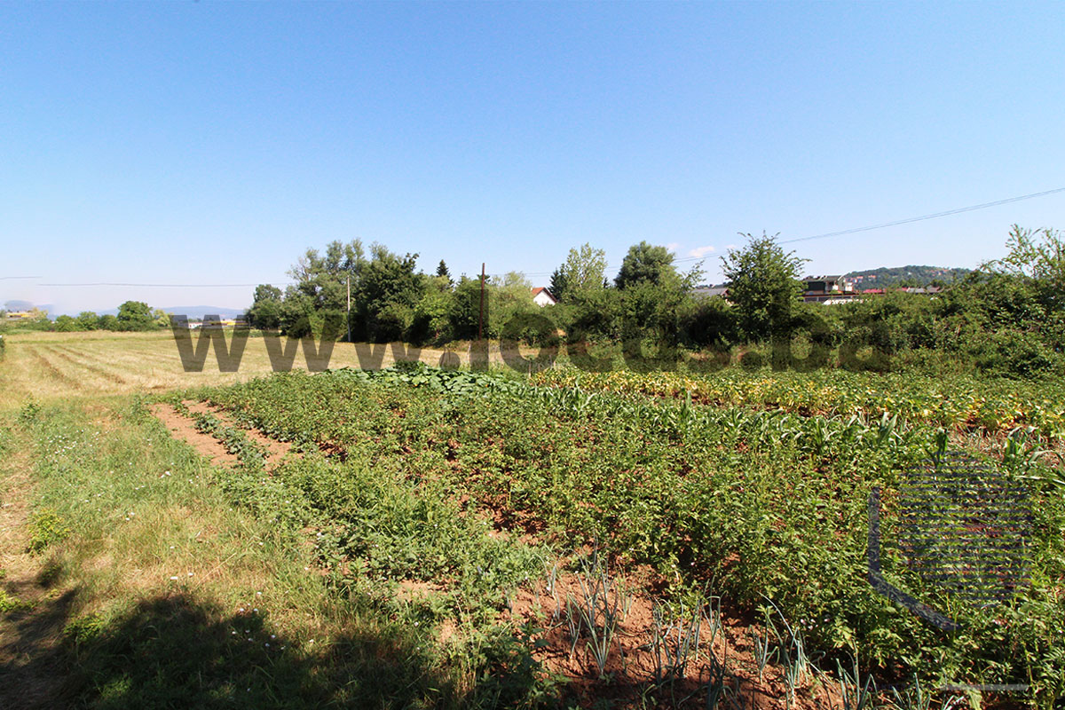 5-Slika-5.jpg