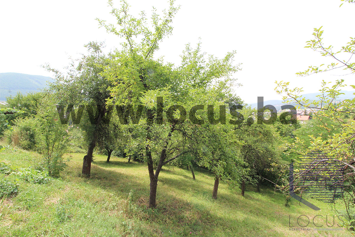 9-Dvorište-4.jpg